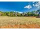 Open lot with mature trees, partially cleared and ready for landscaping at 636 Edwards Rd, Fort Lawn, SC 29714