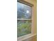 Window view of backyard garden at 126 E Division Ave, Salisbury, NC 28144