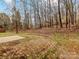 Backyard featuring a concrete patio and bordering foliage providing a natural backdrop at 10519 Brawley Ln, Charlotte, NC 28215