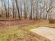 Backyard featuring a concrete patio and bordering foliage providing a natural backdrop at 10519 Brawley Ln, Charlotte, NC 28215