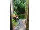Cozy back porch with outdoor seating overlooking a lush, private backyard space at 13112 Appolinaire Dr, Davidson, NC 28036