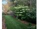 Landscaped backyard features green lawn, decorative lighting, and mature flowering trees for privacy at 13112 Appolinaire Dr, Davidson, NC 28036