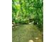 Wooden footbridge nestled within a wooded trail, inviting residents to explore nature and enjoy scenic walks at 13112 Appolinaire Dr, Davidson, NC 28036