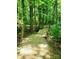 Charming wooden footbridge along a shaded trail, offering a peaceful escape into the surrounding wooded landscape at 13112 Appolinaire Dr, Davidson, NC 28036