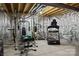 Basement home gym with weight machine, treadmill, and mirrored walls at 7520 Berkeley W Rd, Denver, NC 28037