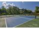 Two pickleball courts with nets and fencing, ready for play at 14535 Crosswater Ln, Charlotte, NC 28278