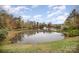 Community pond with footbridge and fountain at 14423 Glendon Hall Ln, Charlotte, NC 28262