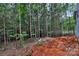 A partially cleared wooded lot ready for landscaping surrounds the new construction home with tall trees at 4615 Yellow Poplar Ln, Concord, NC 28025