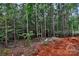 A partially cleared wooded lot ready for landscaping surrounds the new construction home with tall trees at 4615 Yellow Poplar Ln, Concord, NC 28025