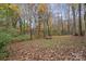Beautiful wooded backyard with fallen leaves and lush trees, offering serene privacy and natural beauty at 958 Sherwood Cir, Lancaster, SC 29720