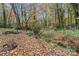 A view of a spacious, wooded backyard with a small creek and fallen leaves in autumn at 958 Sherwood Cir, Lancaster, SC 29720
