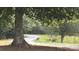 Scenic view of a winding drive with grazing deer, showcasing the tranquil surroundings of the property at 6610 Rolling Ridge Dr, Waxhaw, NC 28173