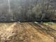 A backyard with a border between the yard and the surrounding natural area at 200 Fostoria Pl # 78A, Albemarle, NC 28001