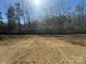 A large yard with trees in the background at 202 Fostoria Pl # 78B, Albemarle, NC 28001