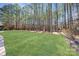 Lush green backyard featuring mature trees and a well-maintained lawn at 1716 Funny Cide Dr, Waxhaw, NC 28173