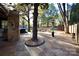 Expansive backyard featuring an outdoor kitchen, a fire pit, and mature trees at 13538 Pine Harbor Rd, Charlotte, NC 28278