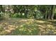 Green backyard with a small shed and trees, offering a private and peaceful outdoor space at 16425 Grapperhall Dr, Huntersville, NC 28078