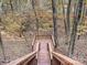 A wooden stairway down into the wooded backyard, featuring colorful autumn foliage at 25040 Timberlake Dr, Tega Cay, SC 29708