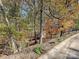 View of a wooded yard with a partial view of an outbuilding in the landscape at 25040 Timberlake Dr, Tega Cay, SC 29708