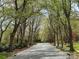 Scenic street view with a canopy of mature trees lining the road, offering a tranquil and picturesque setting at 21315 Blakely Shores Dr, Cornelius, NC 28031
