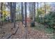 Photo shows a yard with tall trees, fallen logs, leaves on the ground, and a fence in the background at 21315 Blakely Shores Dr, Cornelius, NC 28031