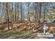 Mobile home nestled in a wooded area at 2029 Big Dipper Dr, Clover, SC 29710