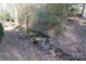 A stream in a leaf-covered backyard with trees, offering a natural and serene outdoor space at 194 E Jay Dr # 3, Taylorsville, NC 28681