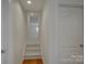 Bright hallway featuring carpeted stairs, hardwood flooring, and white trim at 10029 Daufuskie Dr, Charlotte, NC 28278