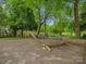 Secluded backyard with a relaxing hammock, a paved patio, and lush green surroundings at 1655 Scotland Ave, Charlotte, NC 28207