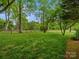 Spacious backyard with well-maintained lawn and mature trees, perfect for outdoor activities at 1655 Scotland Ave, Charlotte, NC 28207