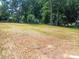 Large backyard with lush greenery and mature trees at 1589 Maysville Rd, Shelby, NC 28150