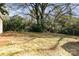 Expansive backyard featuring mature trees at 2630 Druid Hills Way, Charlotte, NC 28206