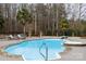 Large freeform pool with stonework and a diving board at 1038 Rolling Park Ln, Fort Mill, SC 29715