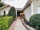Welcoming front entrance featuring decorative plants and a tidy walkway leading to the front door at 8430 Stoneman Pl, Charlotte, NC 28217