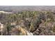 Aerial view of the home surrounded by mature trees and other homes in the neighborhood at 917 Patrick Johnston Ln, Davidson, NC 28036