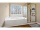 Bathroom featuring garden tub and a separate shower at 17628 Cambridge Grove Dr, Huntersville, NC 28078