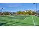 Community pickleball and tennis courts at 17718 Snug Harbor Rd, Charlotte, NC 28278