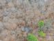 An aerial view of the property's wooded lot, showing the density and privacy afforded by the surrounding trees at 2319 Tin Mine Rd, Lincolnton, NC 28092