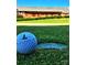 Scenic view of a golf course, with a Lincoln Country Club golf ball beside the hole at 2319 Tin Mine Rd, Lincolnton, NC 28092