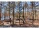 Wooded area leading to lake access at 16042 River Tree Ln, Charlotte, NC 28278