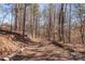 Scenic wooded nature trail perfect for a stroll at 16042 River Tree Ln, Charlotte, NC 28278