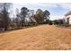 Large backyard with a gentle slope, bordered by trees, offering ample space for outdoor activities and entertainment at 3611 Whitney Way, Terrell, NC 28682