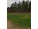 Partially cleared land with rows of vegetation at 158 White Rd, Wadesboro, NC 28170