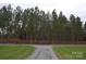 Gravel driveway leading to a wooded area at 158 White Rd, Wadesboro, NC 28170