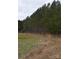 Wooded lot with tall pine trees and open field at 158 White Rd, Wadesboro, NC 28170