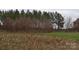 Open field with tall grasses and a line of trees at 158 White Rd, Wadesboro, NC 28170