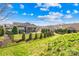 Landscaped backyard featuring a manicured lawn, patio, outdoor kitchen, and black metal fence under a partly cloudy sky at 423 Granite Lake Ct, Denver, NC 28037