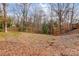 Wooded backyard with sloped terrain and leaf-covered ground at 3335 Knob Hill Ct, Charlotte, NC 28210