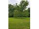 Green grassy yard with two large trees and woods in background at 16480 Indian Mound Rd, Norwood, NC 28128