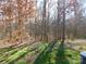 Private backyard with mature trees and grassy area at 274 Village Creek Way, Salisbury, NC 28147